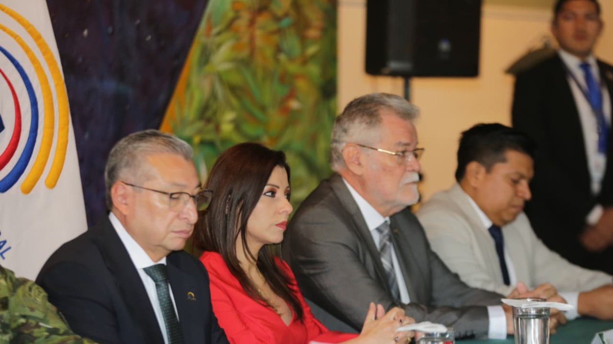 Reunión con ministro y alquiler de generadores, el plan del CNE para las seccionales ante apagones