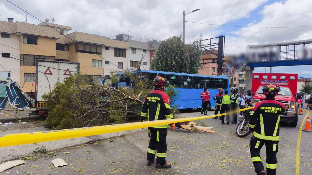 Quito registra más de 250 fallecidos por accidentes de tránsito en lo que va de 2026